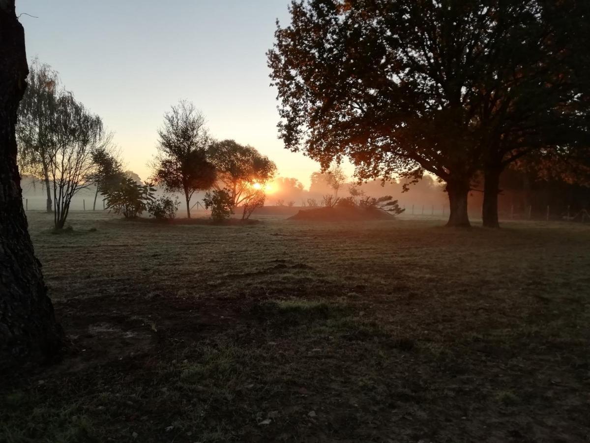 Les Gites Du Petit Marcel Soudan  Bagian luar foto